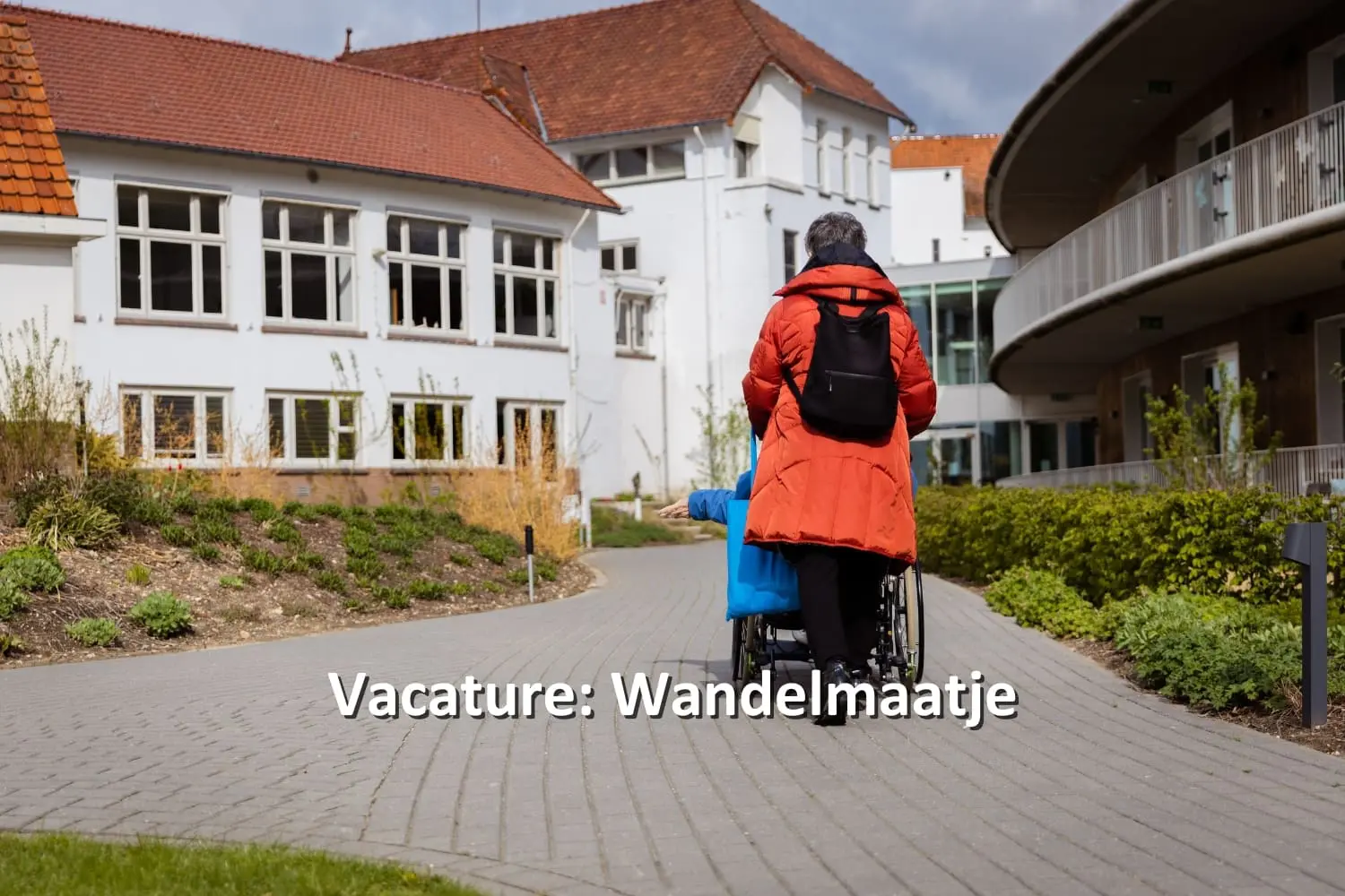 Vacature wandelmaatje. Vrouw die een rolstoel duwt.