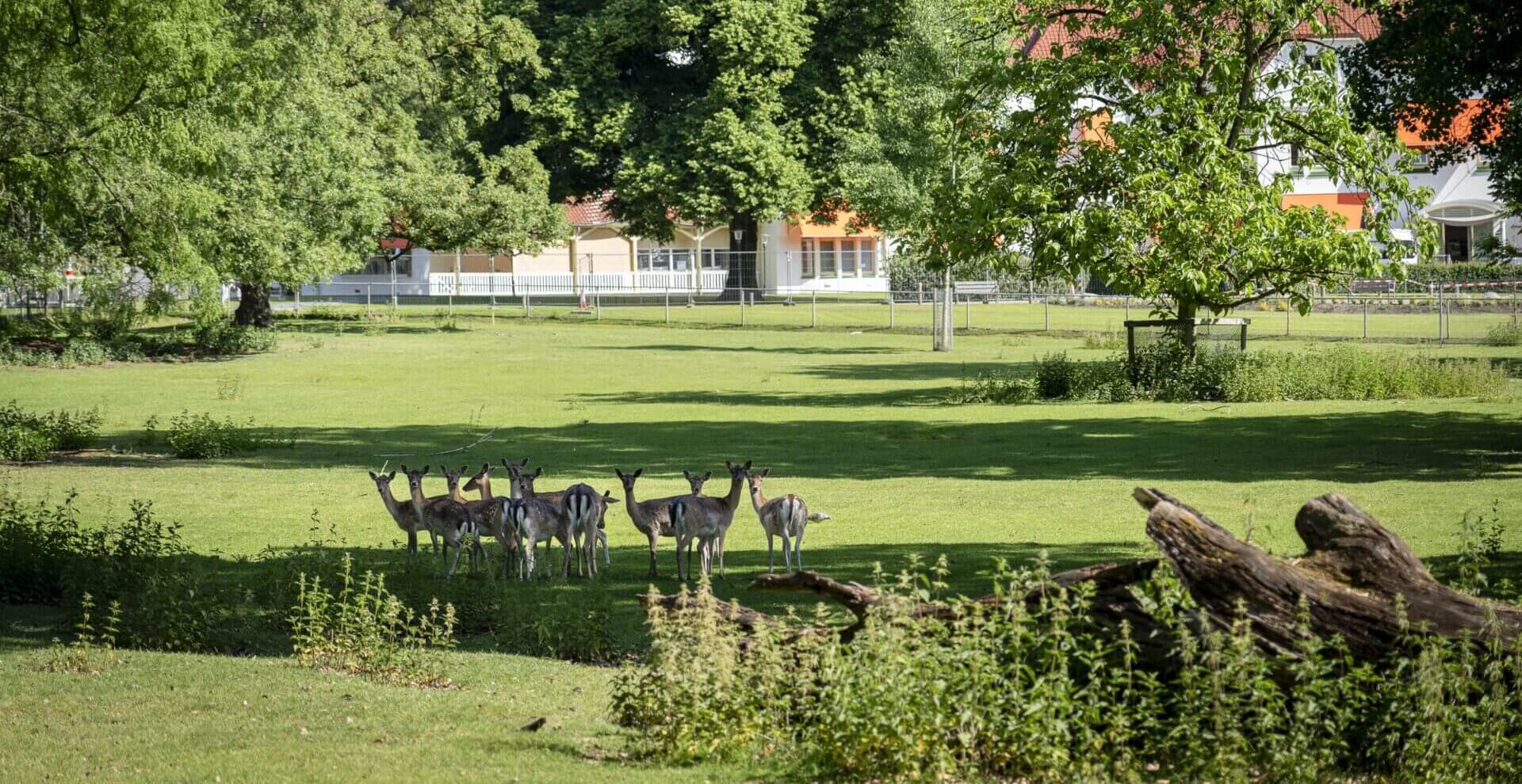 Emmaplein-landgoed-en-wonen-met-specialistische-zorg