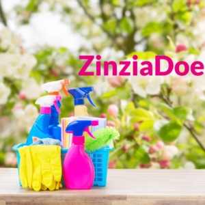 Eerste editie ZinziaDoet! op zaterdag 3 juni!